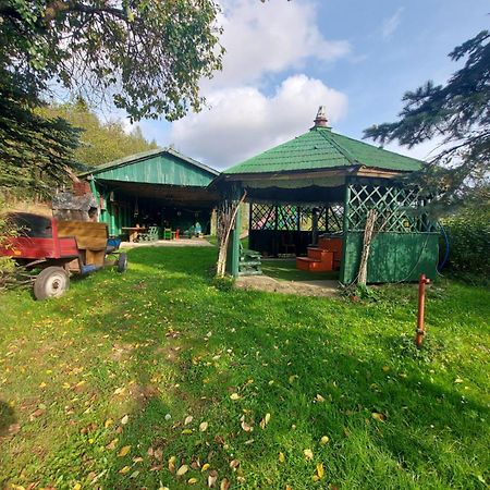 Agroturystyka Zielone Wzgorze Sikorzyno المظهر الخارجي الصورة