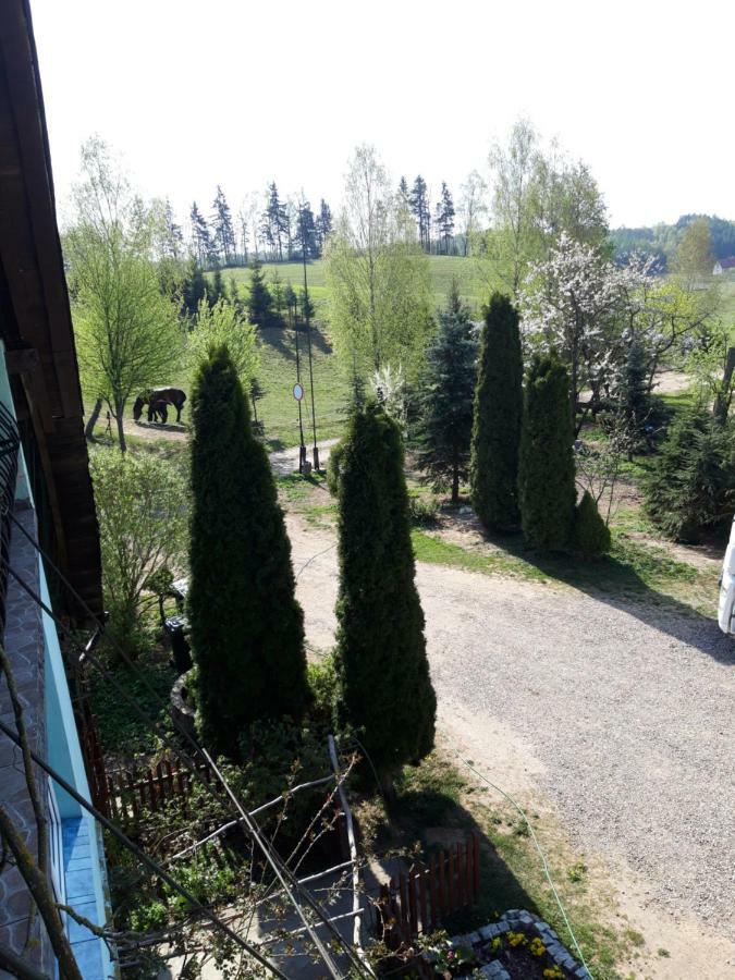 Agroturystyka Zielone Wzgorze Sikorzyno المظهر الخارجي الصورة